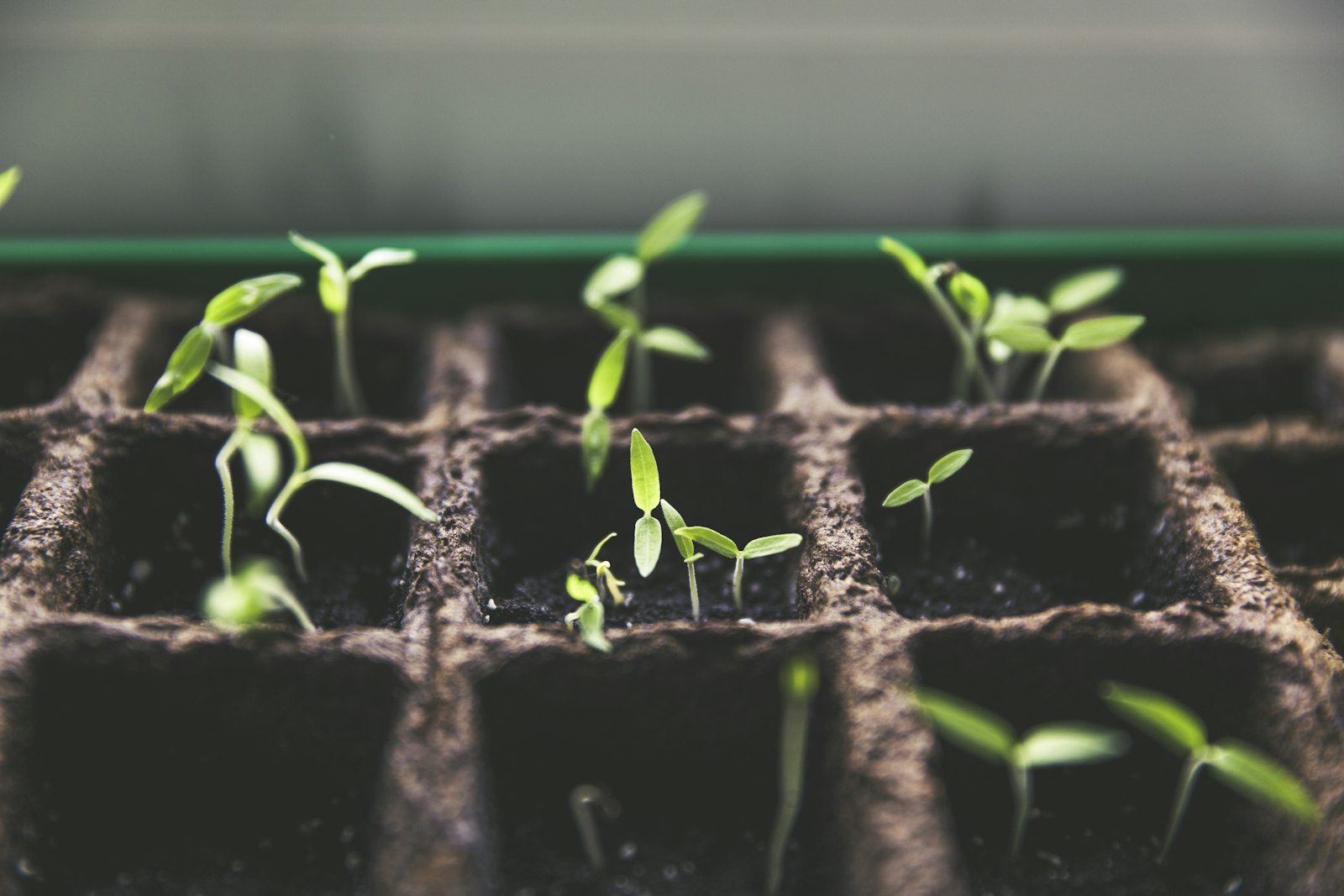 How Employers Can Better Support Talent