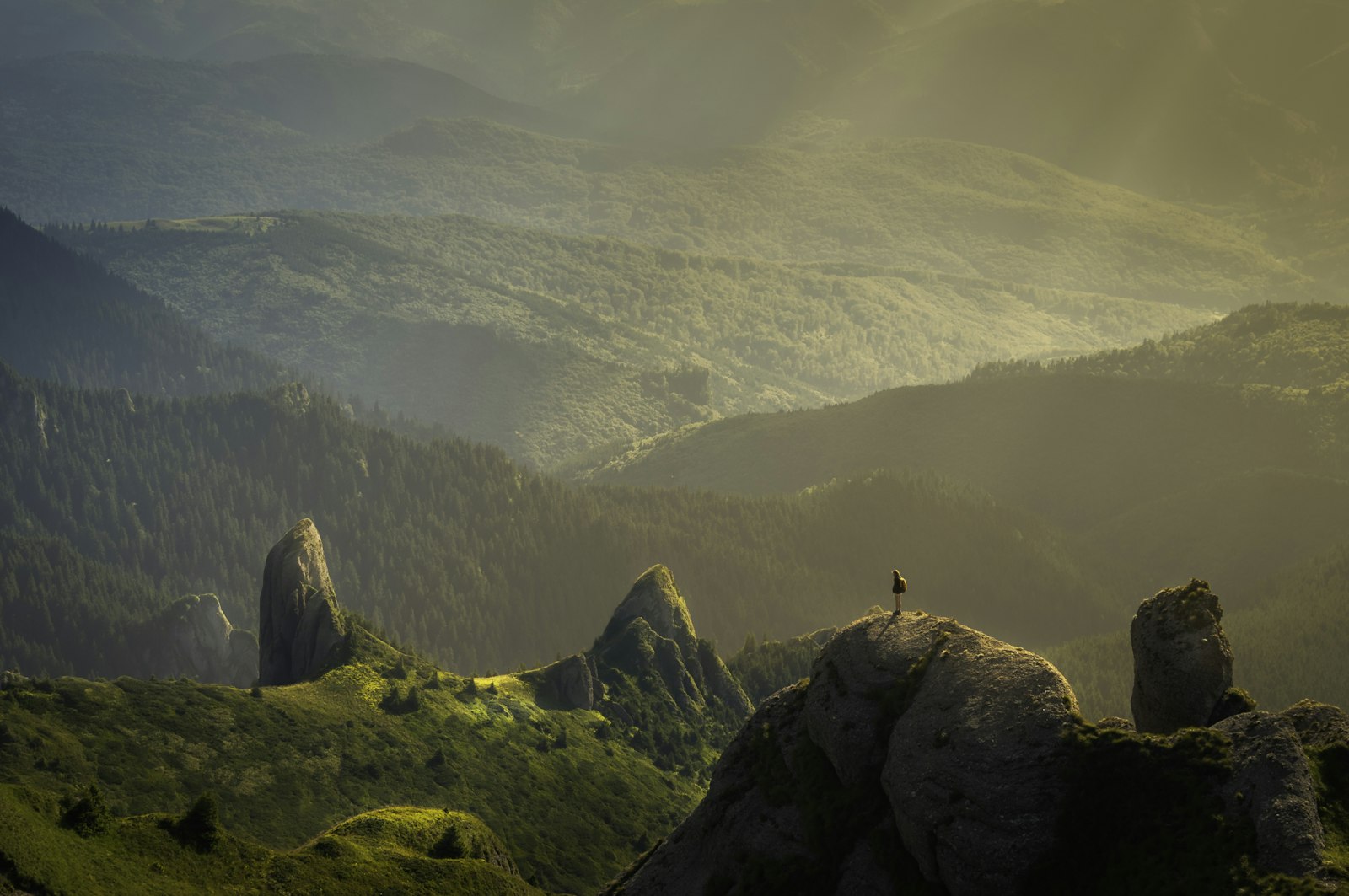 How to Build Career Resilience in Unstable Markets